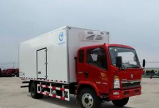韶山到上海冷藏物流公司 韶山到上海冷链运输货运